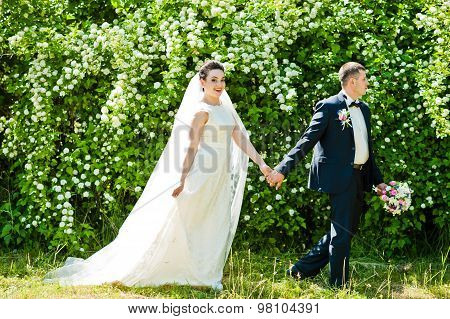 Gorgeus Wedding Couple On Green Sunny Forest