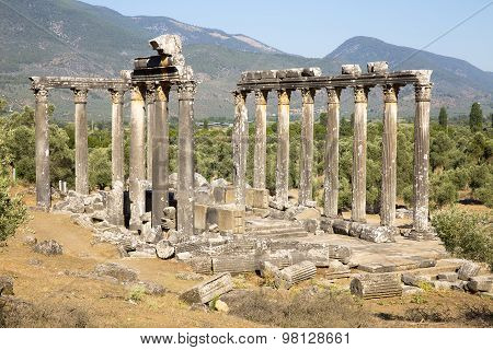 Columns Of The Ancient Temple Of Zeus At Euromos