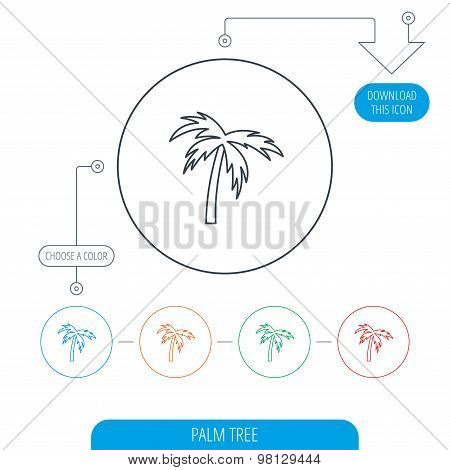 Palm tree icon. Travel or vacation symbol.