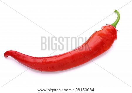 Red Chilli Peppers Isolated On White