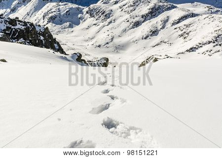 Valley In Winter Conditions