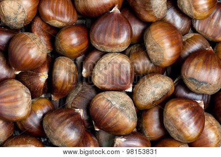 Raw Sweet Chestnut