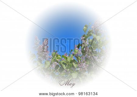 Stylized Picture With Season Tree In White Circle For Calendar Month. May