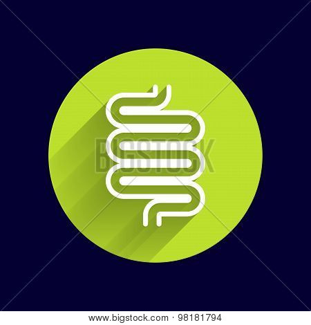 Flat modern design with shadow icons large intestine