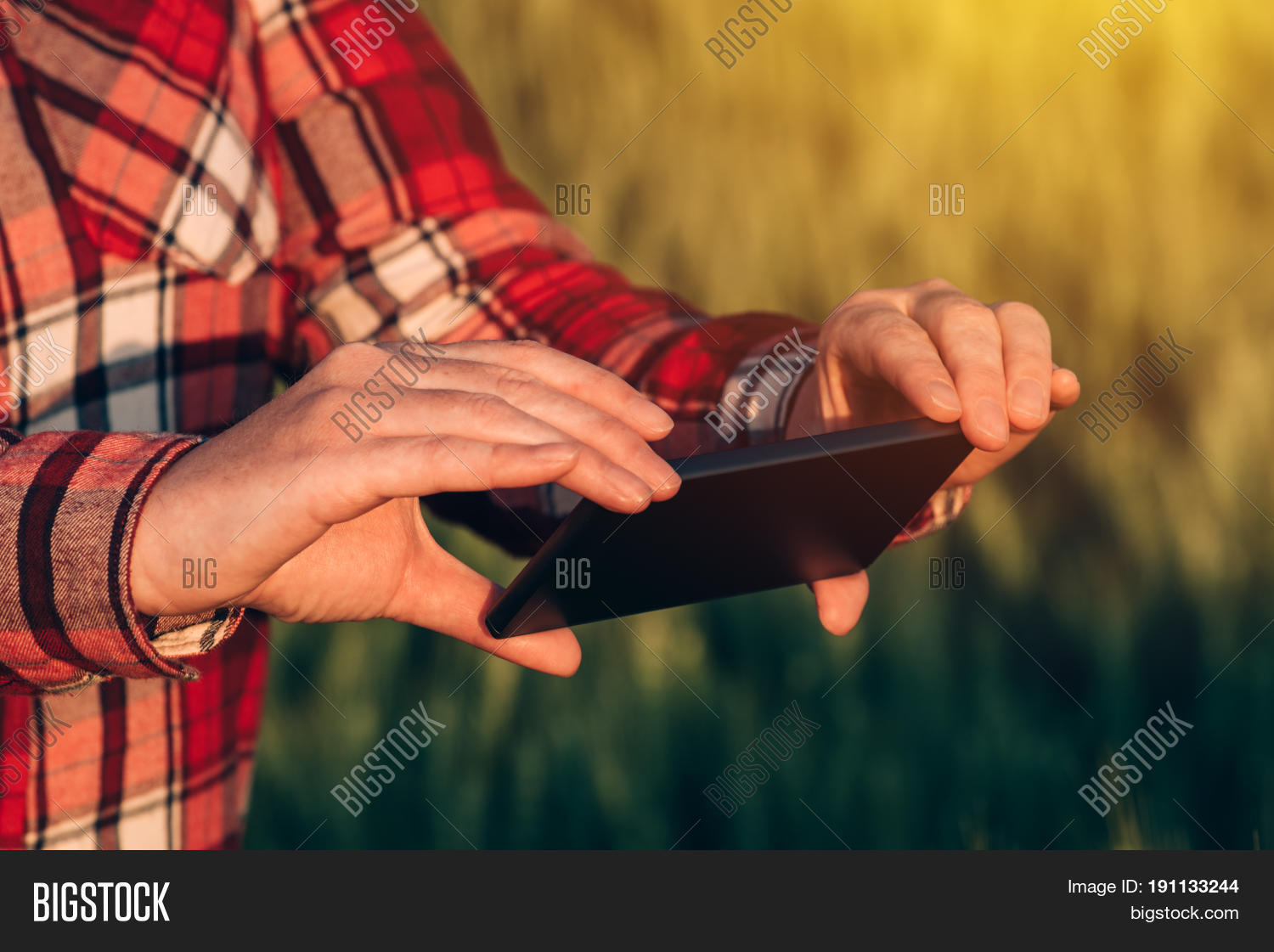 Image Preview
