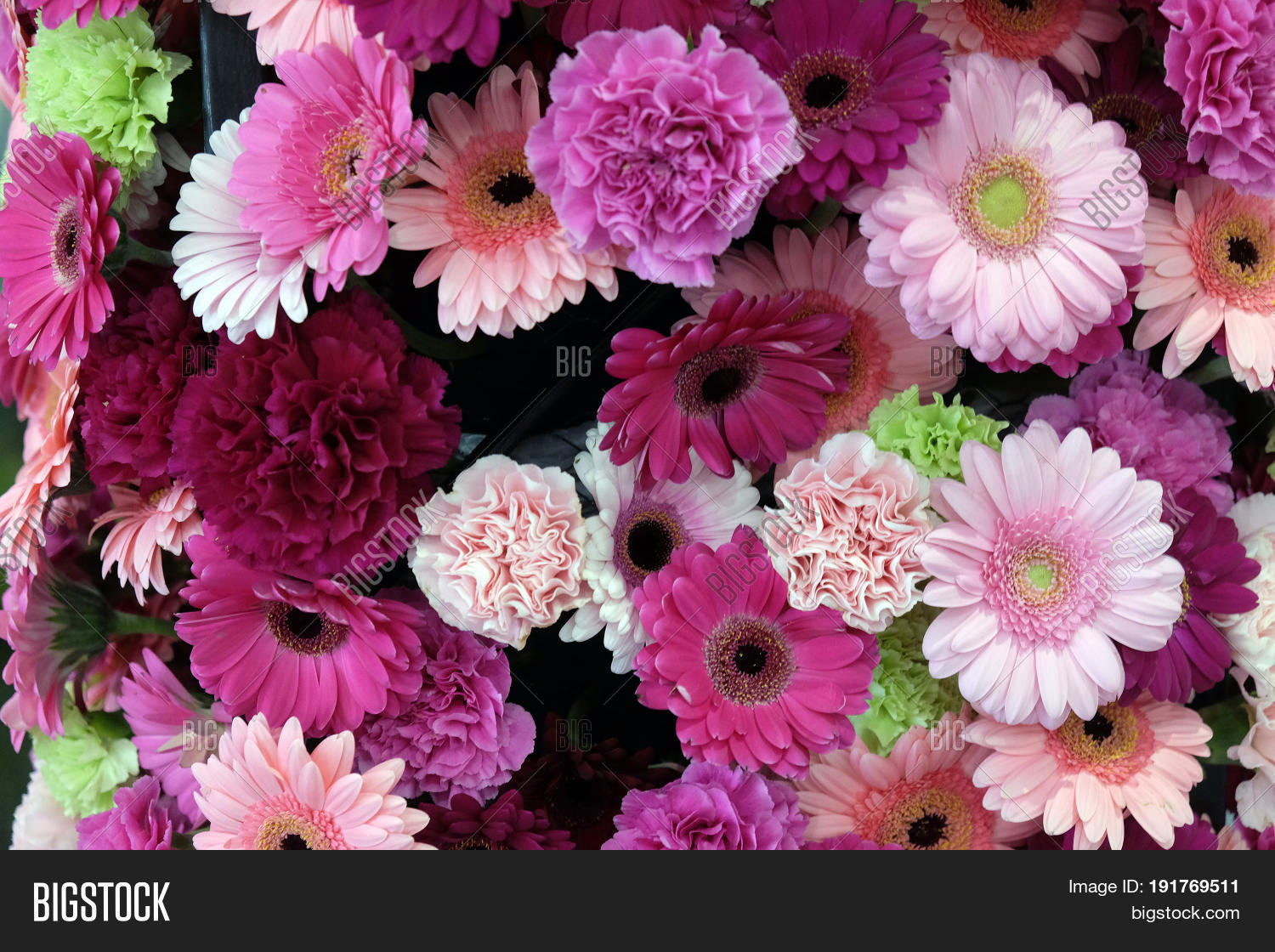 ZAGREB, CROATIA MAY Image & Photo (Free Trial) Bigstock