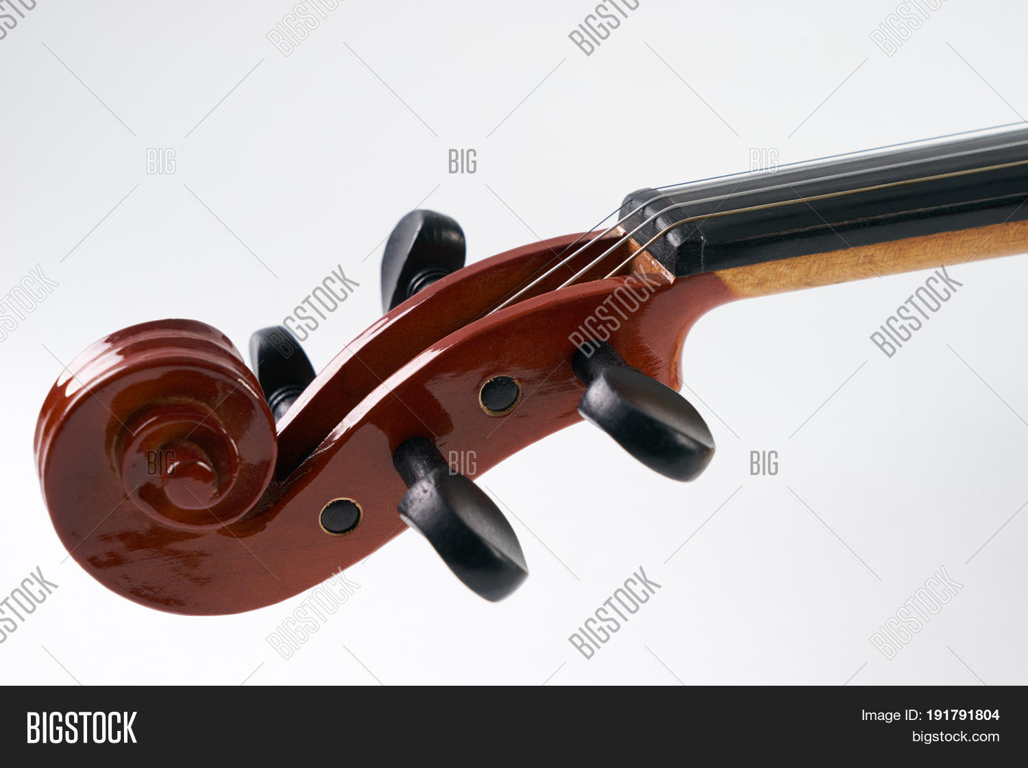 Close- Details Violin Image & Photo (Free Trial) | Bigstock