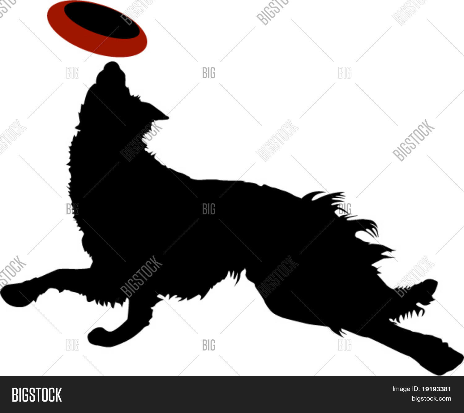 Image Preview