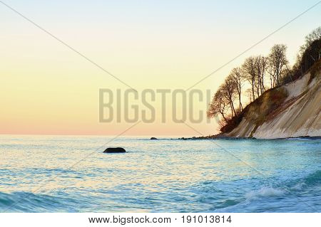 Romantic Morning. Bended Tree Above Sea Level,  Boulders Sticking Out From Smooth Waves. Pink Horizo