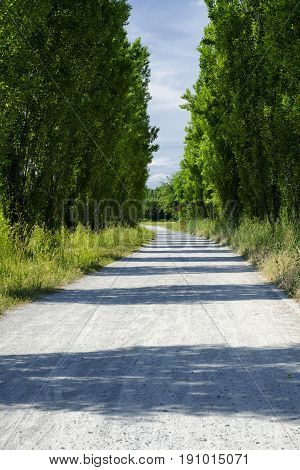 Springtime landscape in the park of Grugnotorto between Milan and Monza (Brianza Lombardy Italy) path