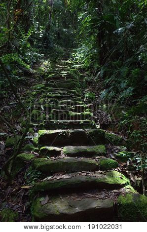 Stone paths leading to Ciudad Perdida (Lost City) in Colombia