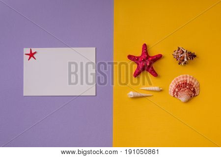 Summer Background Of Two Colors