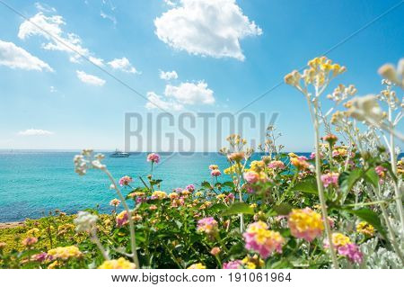 Yellow and pink flowers and motor yacht on blue turquois sea water and sky