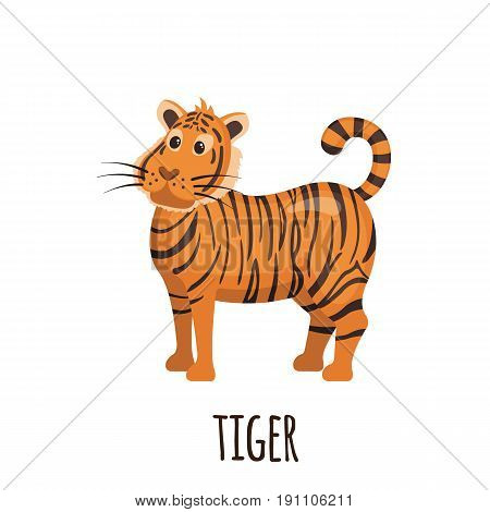 Cute Tiger in flat style isolated on white background. Cartoon tiger. Zoo animal. Vector illustration.
