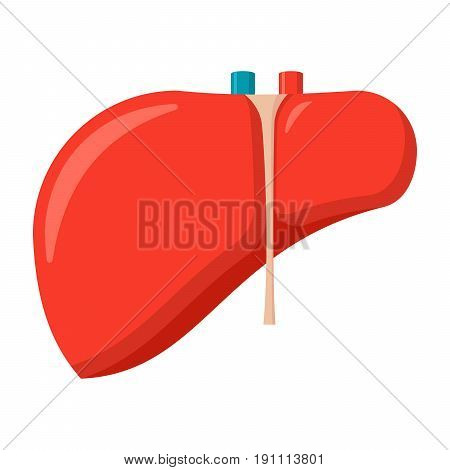 Hepatology concept with liver, vector illustration in flat style