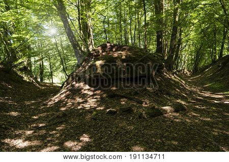 On The Hiking Trail Spessartweg In Germany