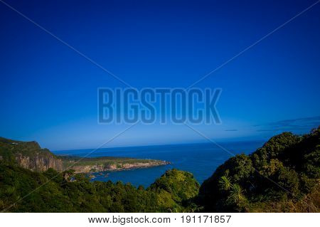 Beautiful view of the beach in Cape Foulwind on the West Coast of New Zealand.