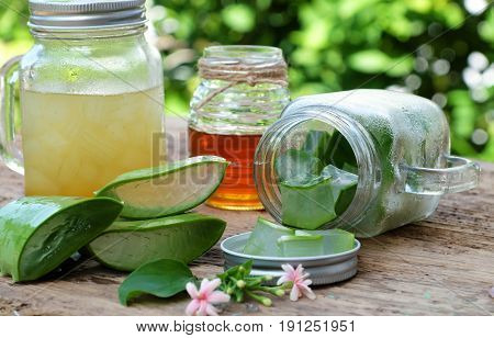 Aloe Vera, Honey For Skin Care
