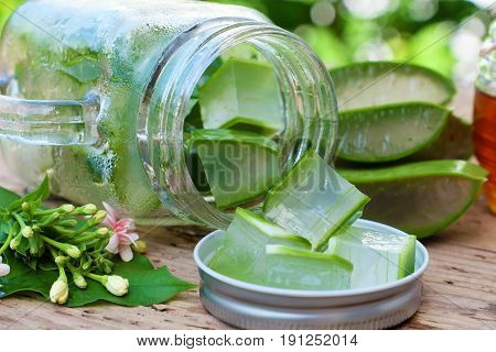 Aloe Vera, Honey For Skin Care