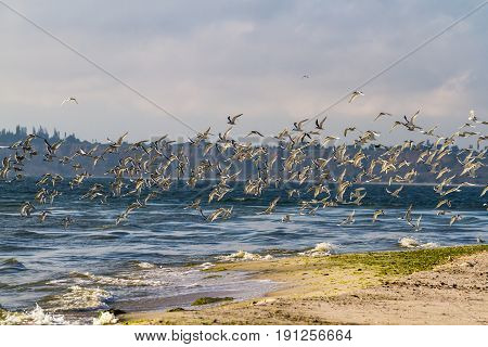 The End Of The Kinburn Spit, Mykolayiv Region, Ukraine.