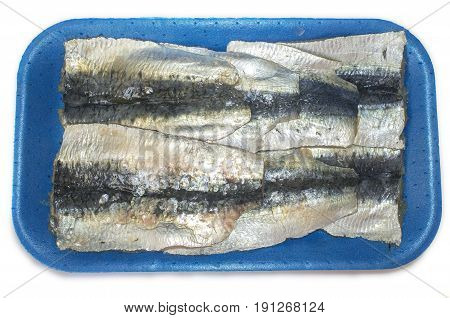 Packed tray of sardine filets from Northeast Atlantic Spain. Closeup