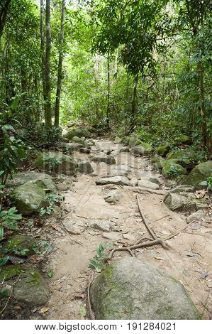 nature walkway in Khao Chamao , Rayong , Thailand