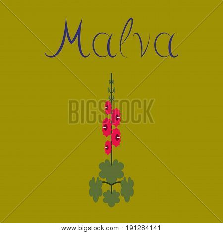 flat illustration on stylish background plant Malva