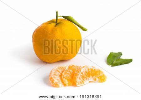 Brazilian Mexerica Pokan Or Tangerine