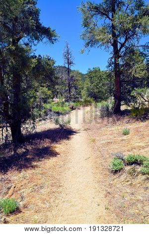 PCT Trail which is a hiking trail traversing the Sierra Nevada Mountains taken near Kennedy Meadows, CA