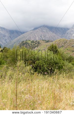 Nature in the mountains of Kazakhstan . A photo