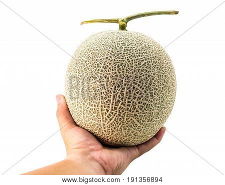 Melon fruit on hand path and isolated on white