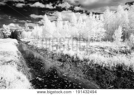 Countryside Fields In Summer. Infrared Image