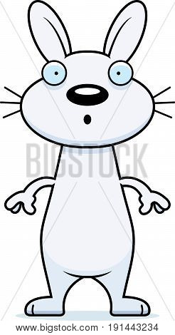 Surprised Cartoon Rabbit