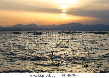 lake in the sunset with the Swan and yacht