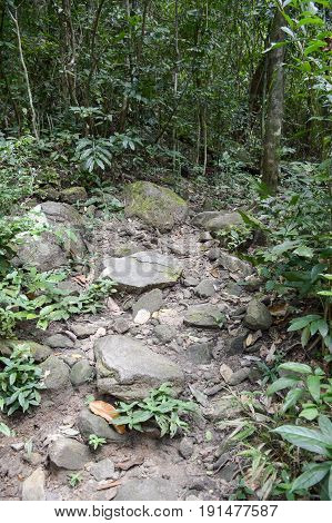 nature walkway in Khao Chamao , Rayong , Thailand