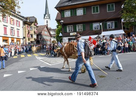 Farmers With A Herd Of Cows On The Annual Transhumance
