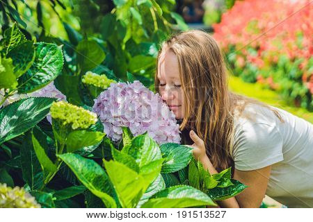 Young Woman On The Background Of Light Pink Hydrangea Blooming In The Garden