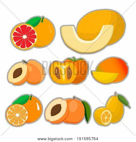 Abstract vector illustration logo for whole ripe fruit melon apricot peach green stem cut sliced.