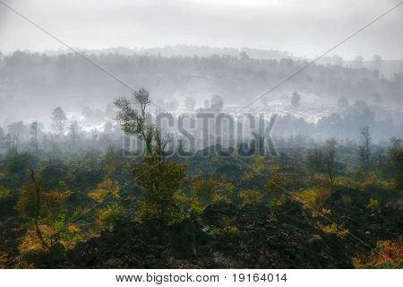 Fogg e intempéries do Havaí. Fotografado na ilha grande. Havaí. ESTADOS UNIDOS DA AMÉRICA