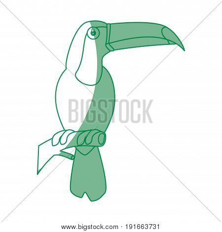 Wild tucan cartoon icon vector illustration graphic design