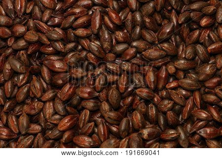 Chocolate Malted Barley, Grain, Texture, Background, Ingredient