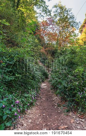 Hiking trail along the river Ardeche in France