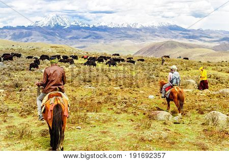 View on Horse Trekker and Yak herds with nomads in the highlands of Sichuan