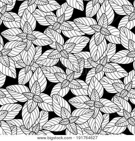Graphic oregano seamless pattern. Coloring book page design for adults and kids