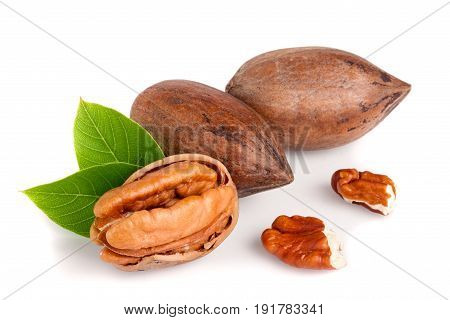 Three pecans with leaves isolated on white background.