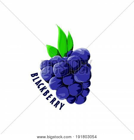 logo icon design Blackberry farm Design Cartoon