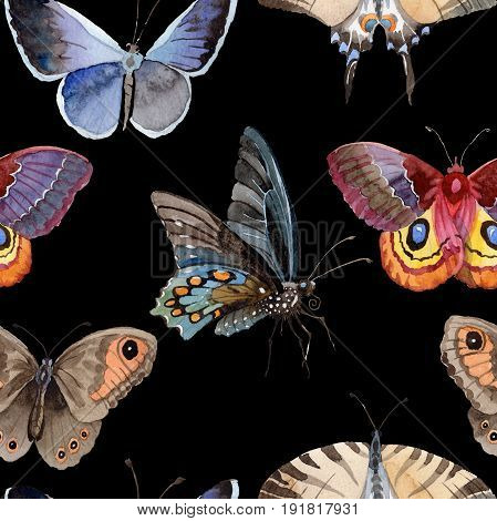 Watercolor butterfly pattern tender insect, intresting moth, isolated wing illustration. Butterfly names: swallowtail, monarch, queen. Aquarelle for background, wrapper pattern, frame or border.