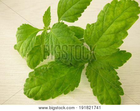 Aztec sweet herb with leaves on wooden board