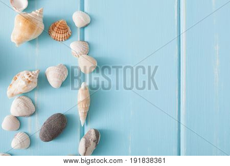 Seashells on blue wood, sea vacation background with copy space on wooden planks