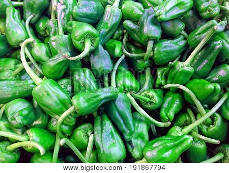 Organic Jalapeno peppers fresh from the market